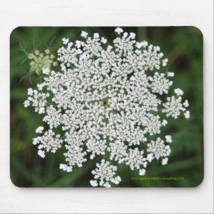 Queen Anne's Lace Mouse Pad