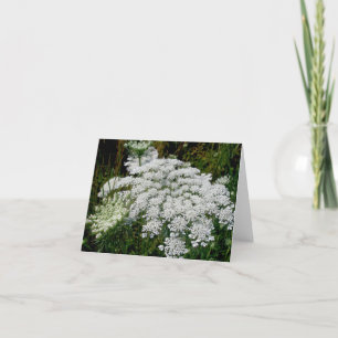 Queen Anne's Lace Note Card