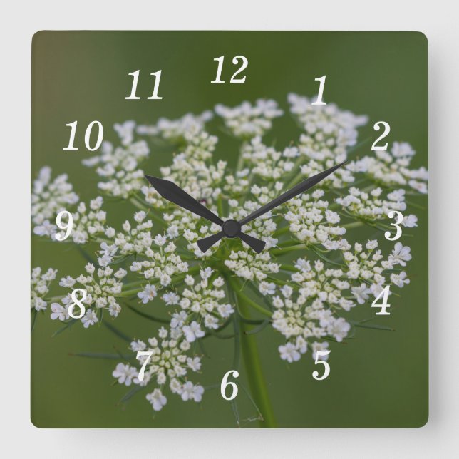 Queen Anne's Lace Wall Clock (Front)