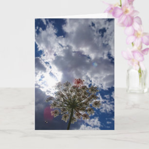 Queen Anne's Lace, Wild Floral Landscape Card