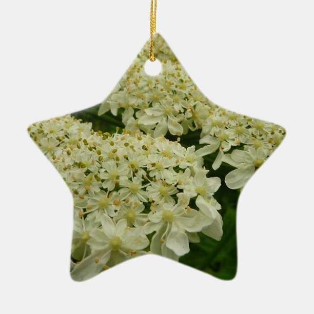 Queen Anne's Lace Wildflower Photo Ceramic Tree Decoration (Front)