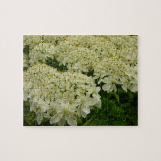 Queen Anne's Lace Wildflower Photo Jigsaw Puzzle