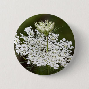 Queen Ann's Lace 6 Cm Round Badge