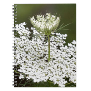 Queen Ann's Lace Spiral Notebook
