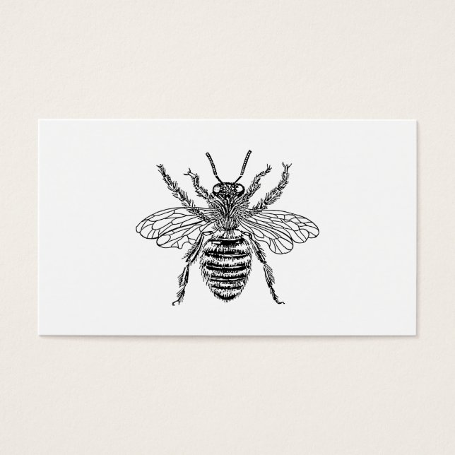 Queen Bee (Front)