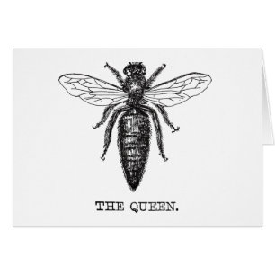Queen Bee Black and White Illustration