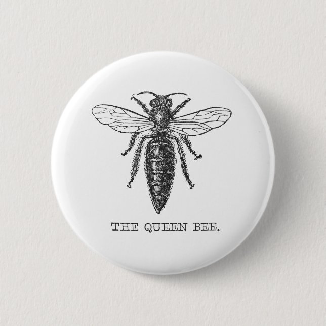 Queen Bee Bug Insect Antique Illustration 6 Cm Round Badge (Front)
