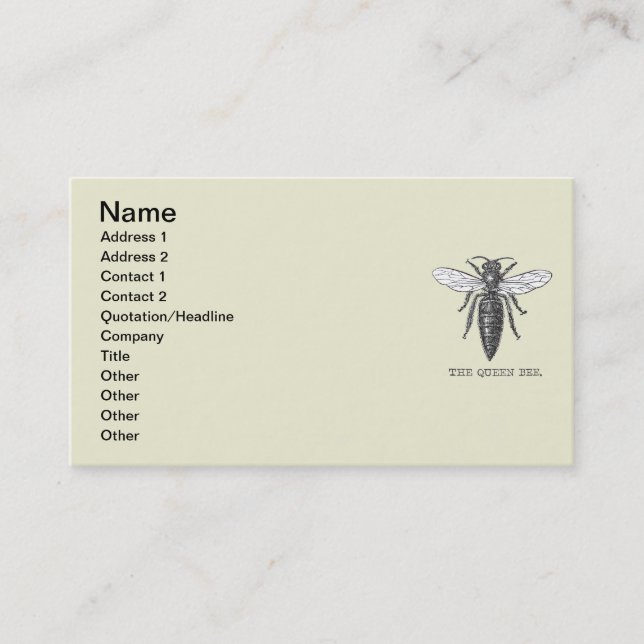 Queen Bee Bug Insect Antique Illustration Business Card (Front)