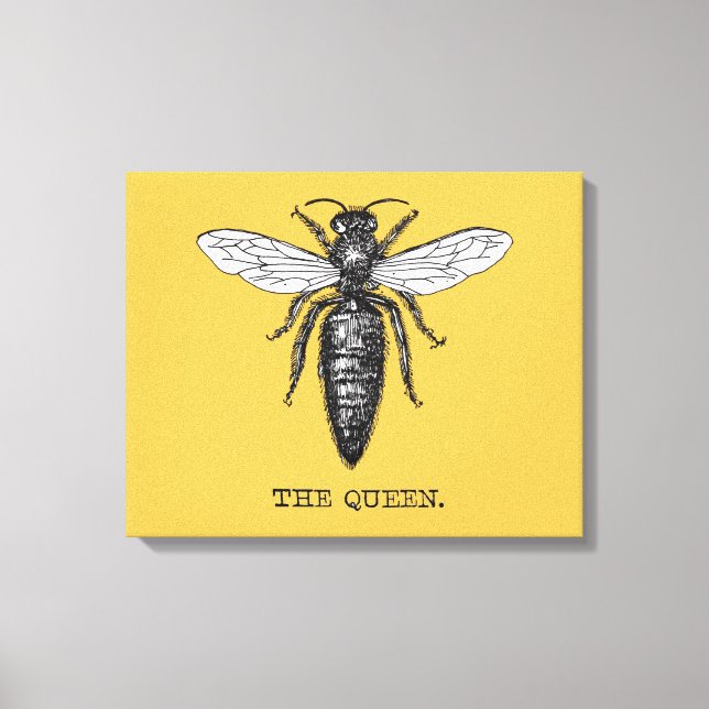Queen Bee Bug Insect Antique Illustration Canvas Print (Front)