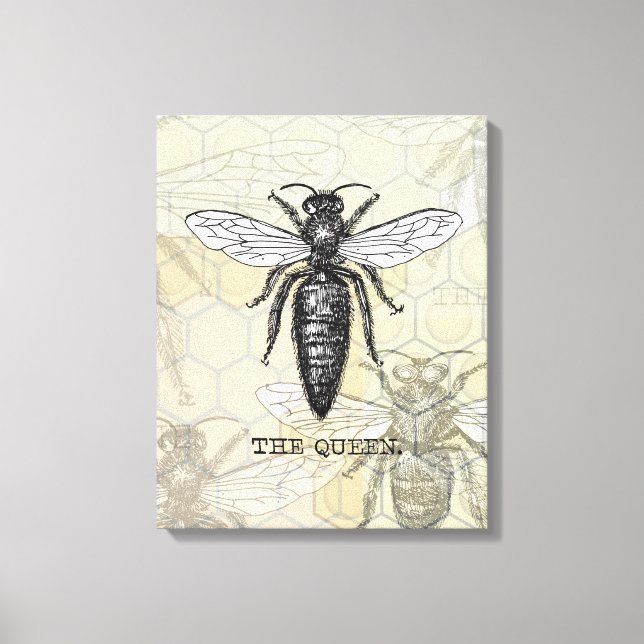 Queen Bee Bug Insect Antique Illustration Canvas Print (Front)
