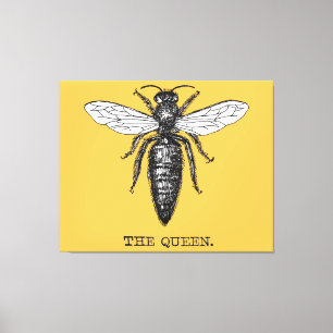 Queen Bee Bug Insect Antique Illustration Canvas Print
