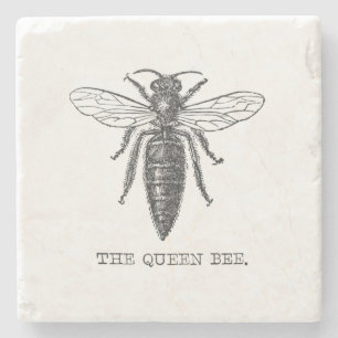 Queen Bee Bug Insect Antique Illustration Stone Coaster