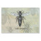 Queen Bee Bug Insect Antique Illustration