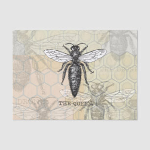 Queen Bee Bug Insect Antique Illustration Tissue Paper