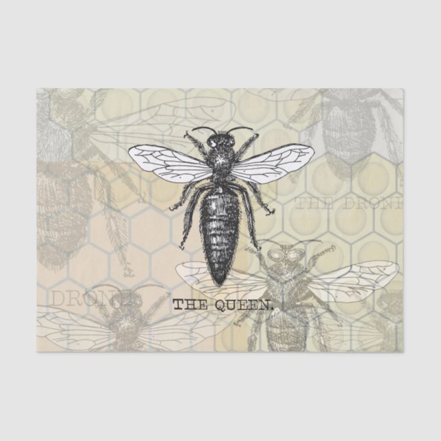 Queen Bee Bug Insect Antique Illustration Tissue Paper (Front)