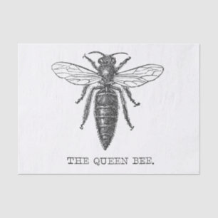 Queen Bee Bug Insect Antique Illustration Tissue Paper
