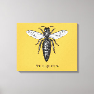 Queen Bee Bug Insect Bees Illustration Canvas Print