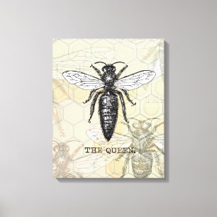 Queen Bee Bug Insect Bees Illustration Canvas Print