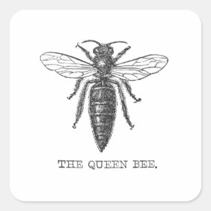 Queen Bee Bug Insect Bees Illustration Square Sticker