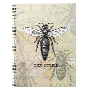 Queen Bee Illustration Bug Insect Spiral Notebook