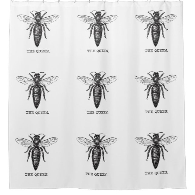 Queen Bee Illustration Classic Drawing Shower Curtain (Front)