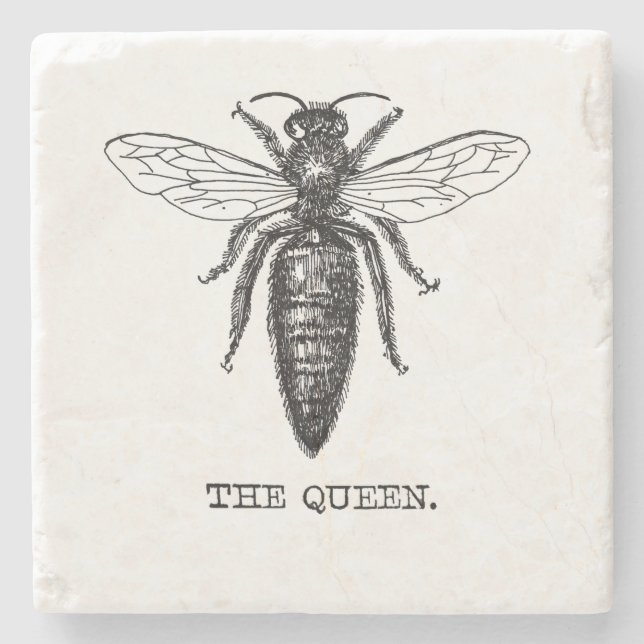 Queen Bee Illustration Classic Drawing Stone Coaster (Front)