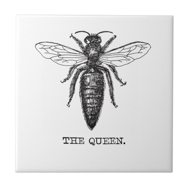 Queen Bee Illustration Classic Drawing Tile (Front)