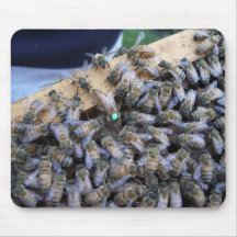 Queen bee mousepad