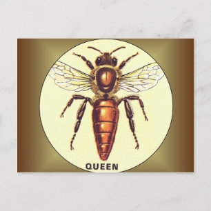 Queen Bee Postcard