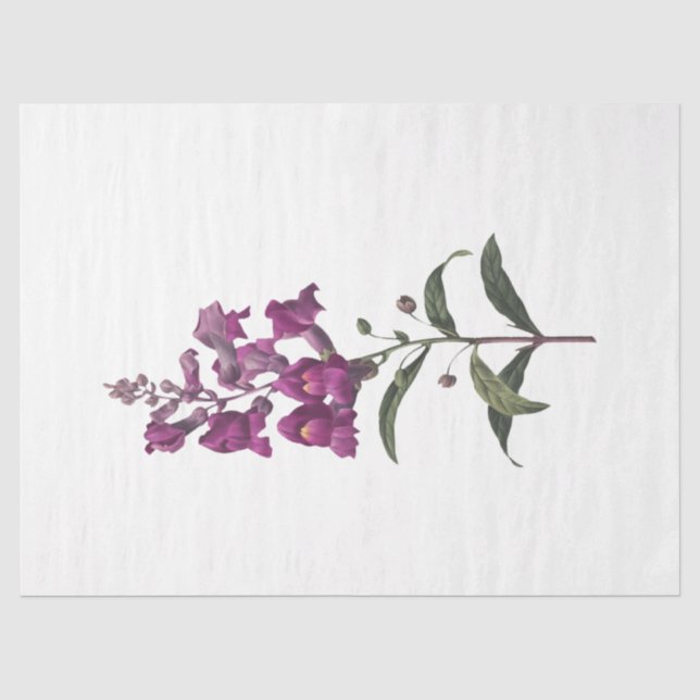 Queen Bee Series Design 65 Tissue Paper (Front)