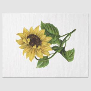 Queen Bee Series Design 66 Tissue Paper