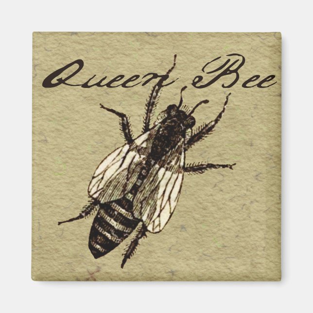 Queen Bee Vintage Black and White Art Print Magnet (Front)