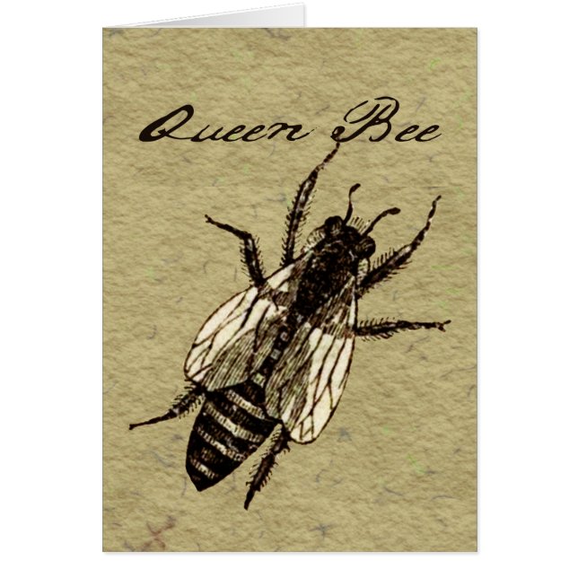 Queen Bee Wildlife Bug Insect (Front)