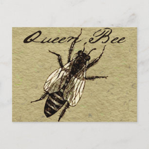 Queen Bee Wildlife Bug Insect Postcard