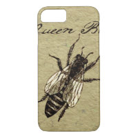 Queen Bee Wildlife Flying Bug Insect