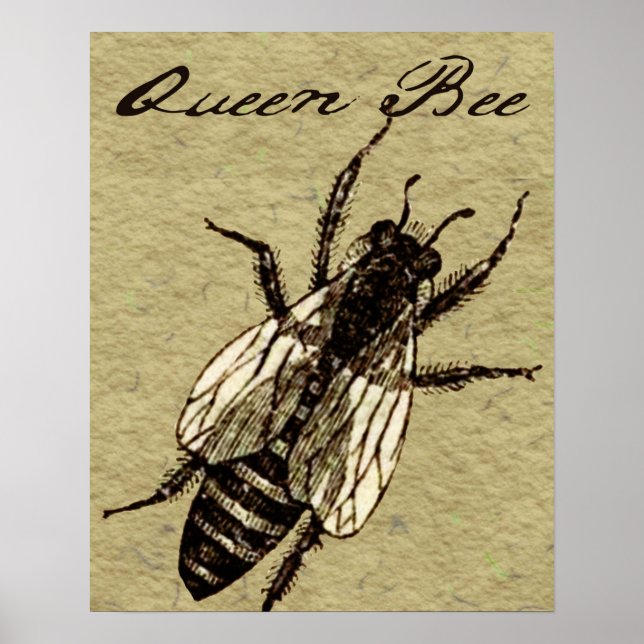 Queen Bee Wildlife Flying Bug Insect Poster (Front)