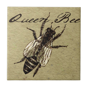 Queen Bee Wildlife Flying Bug Insect Tile