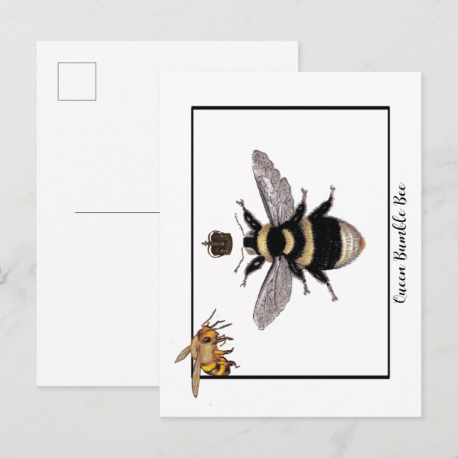 Queen Bumble Bee Postcard (Front/Back)