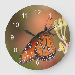 Queen  butterfly on a branch large clock