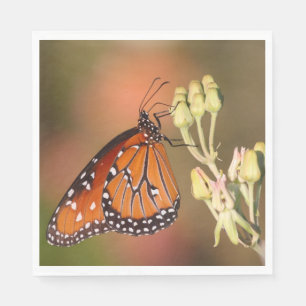 Queen butterfly on a branch napkin