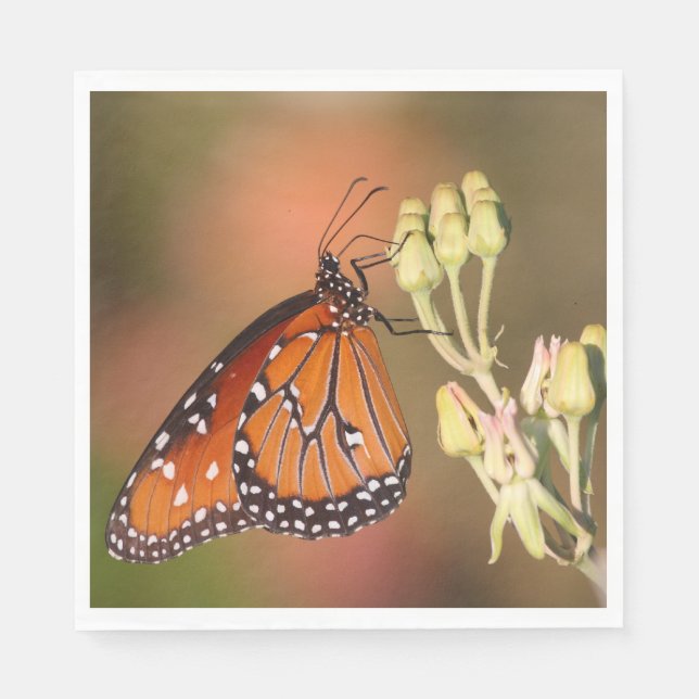 Queen butterfly on a branch napkin (Front)