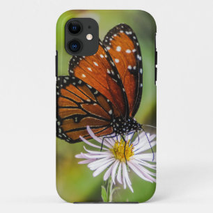 Queen butterfly on flower Case-Mate iPhone case