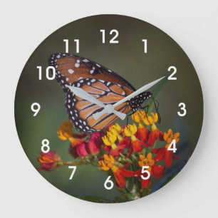 Queen butterfly on tropical milkweed large clock