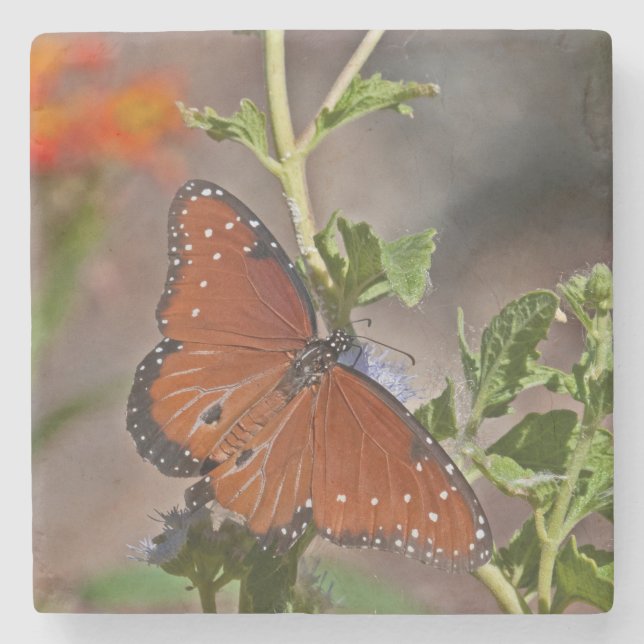 Queen Butterfly Stone Coaster (Front)