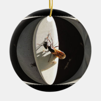 Queen Carpenter Ant ~ ornament