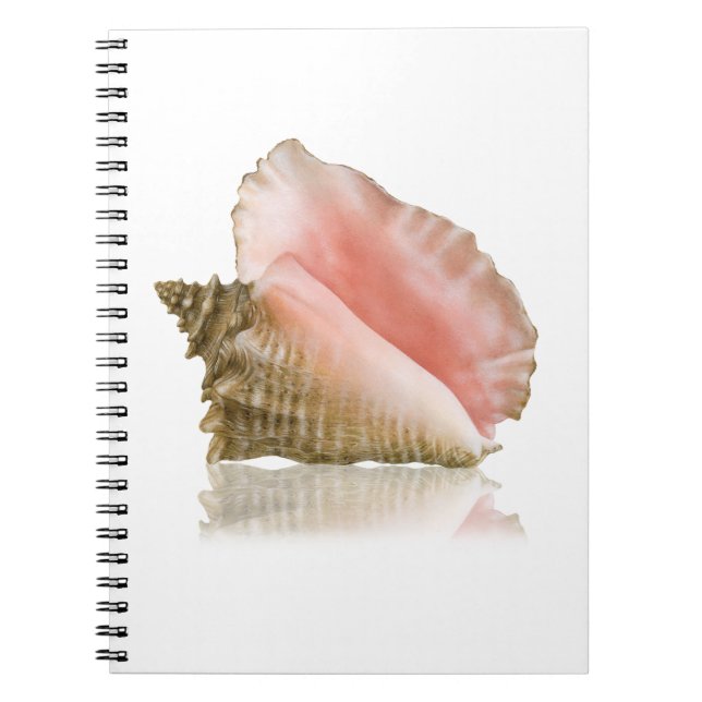 Queen Conch Notebook (Front)