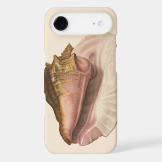 Queen Conch Seashell Shell, Vintage Marine Life