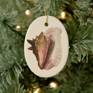 Queen Conch Seashell Shell, Vintage Marine Life Ceramic Tree Decoration