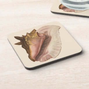 Queen Conch Seashell Shell, Vintage Marine Life Coaster