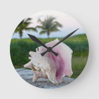 Queen Conch Shell on a Wall, The Bahamas Poster